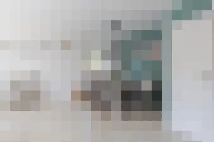 Wilgeroosje 14 Sneek thumbnail 10