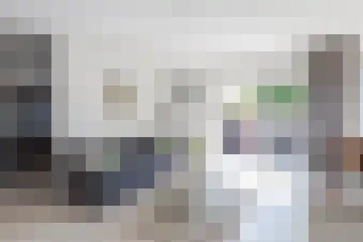 Wilgeroosje 14 Sneek thumbnail 12