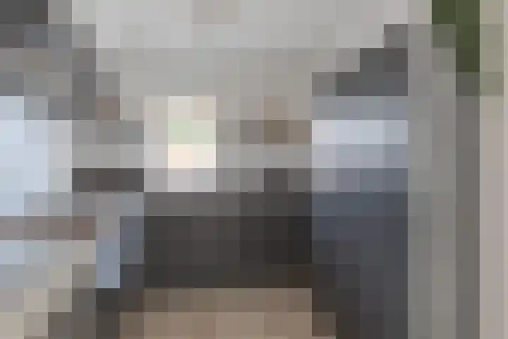 Wilgeroosje 14 Sneek thumbnail 15