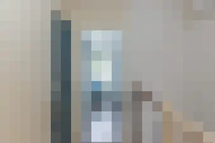 Wilgeroosje 14 Sneek thumbnail 16