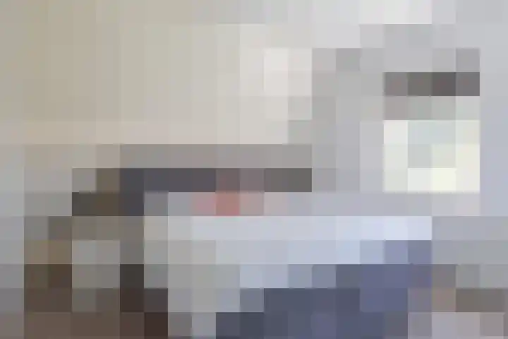 Wilgeroosje 14 Sneek thumbnail 19