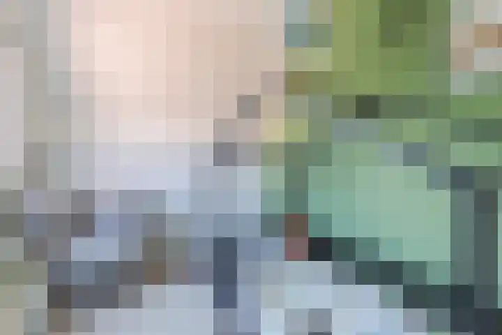 Wilgeroosje 14 Sneek thumbnail 22