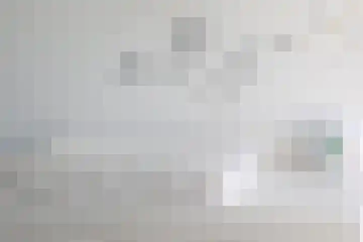 Wilgeroosje 14 Sneek thumbnail 23