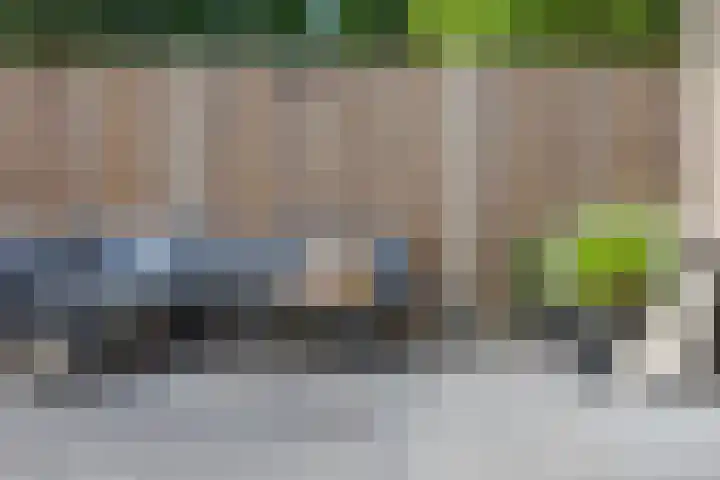 Wilgeroosje 14 Sneek thumbnail 27