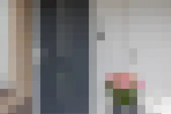 Wilgeroosje 14 Sneek thumbnail 5