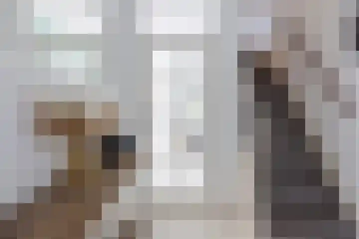 Wilgeroosje 14 Sneek thumbnail 6