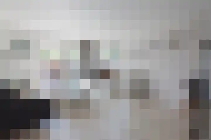 Wilgeroosje 14 Sneek thumbnail 9