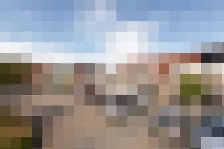 Wilgeroosje 58 Sneek