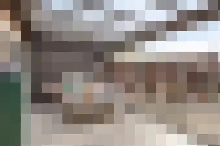Wilhelminalaan 12 Bladel thumbnail 15
