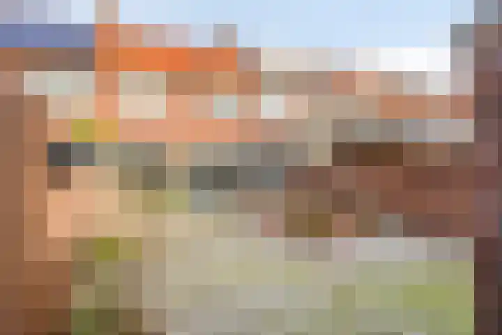 Wilhelminalaan 12 Bladel thumbnail 29