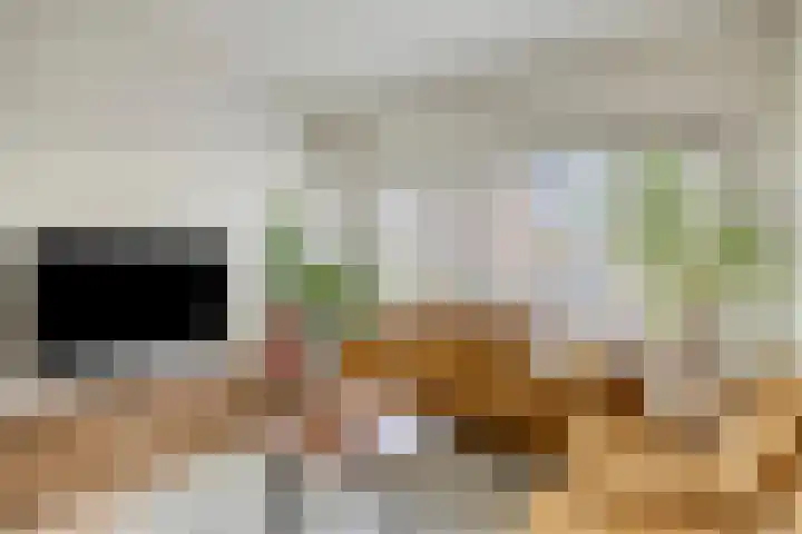 Wilhelminalaan 12 Bladel thumbnail 7
