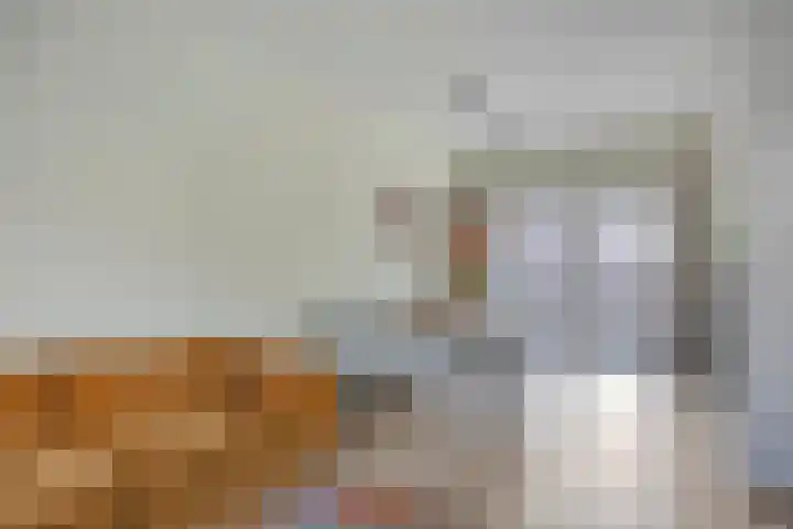 Wilhelminalaan 12 Bladel thumbnail 8