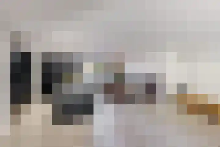 Wilhelminalaan 17 Grevenbicht thumbnail 11