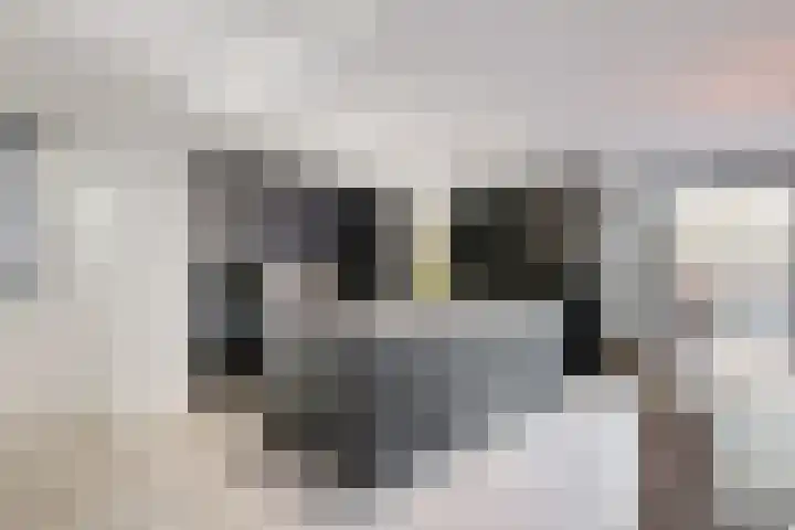 Wilhelminalaan 17 Grevenbicht thumbnail 13