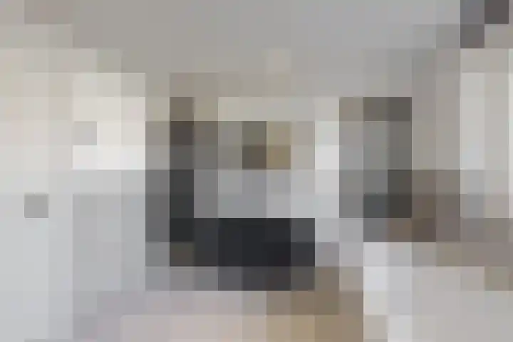 Wilhelminalaan 17 Grevenbicht thumbnail 20