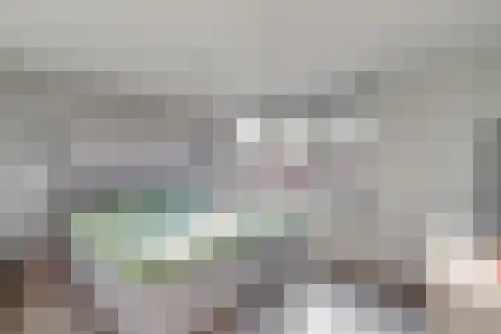 Wilhelminalaan 17 Grevenbicht thumbnail 23