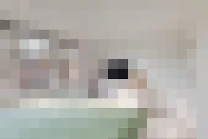 Wilhelminalaan 17 Grevenbicht thumbnail 24