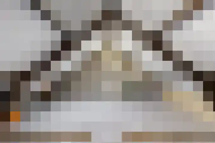 Wilhelminalaan 17 Grevenbicht thumbnail 26
