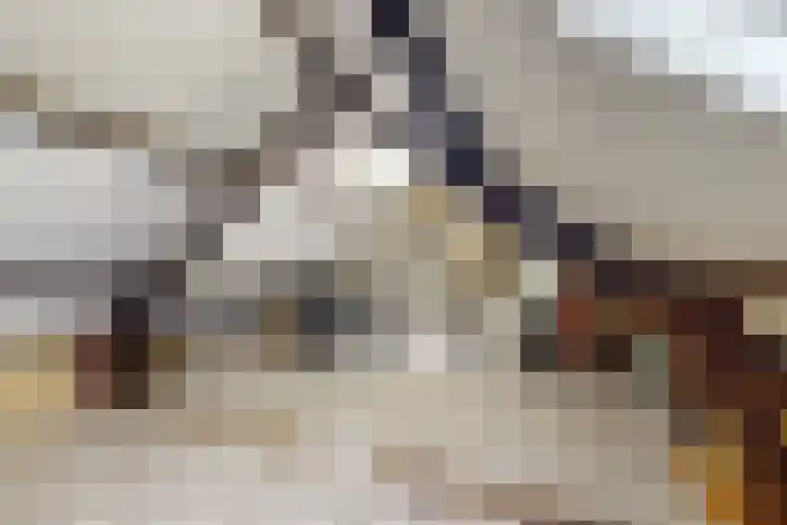 Wilhelminalaan 17 Grevenbicht thumbnail 27