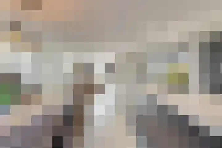 Wilhelminalaan 17 Grevenbicht thumbnail 9