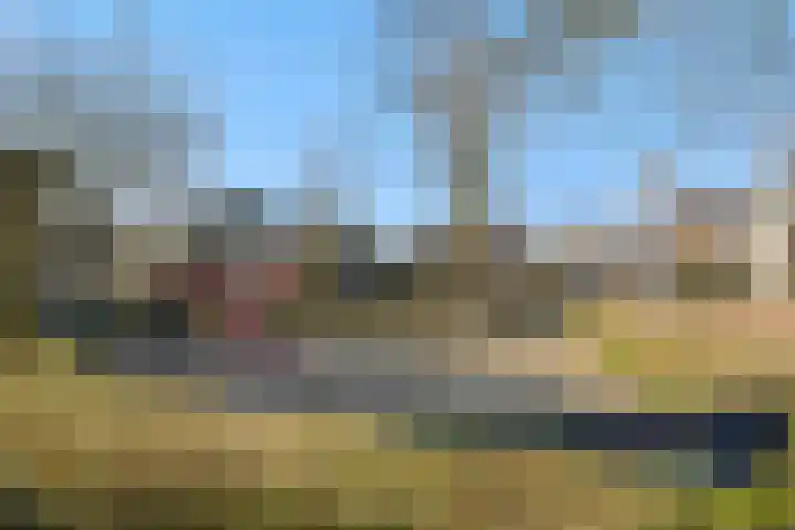 Wilhelminalaan 3 Vught thumbnail 39