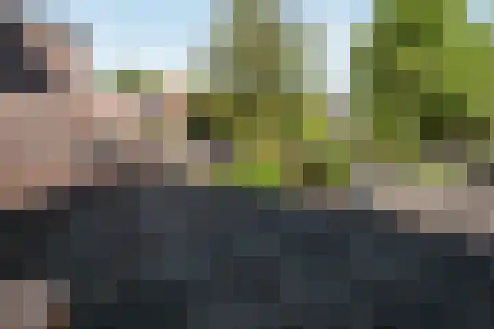 Wilhelminalaan 7 Vught thumbnail 28