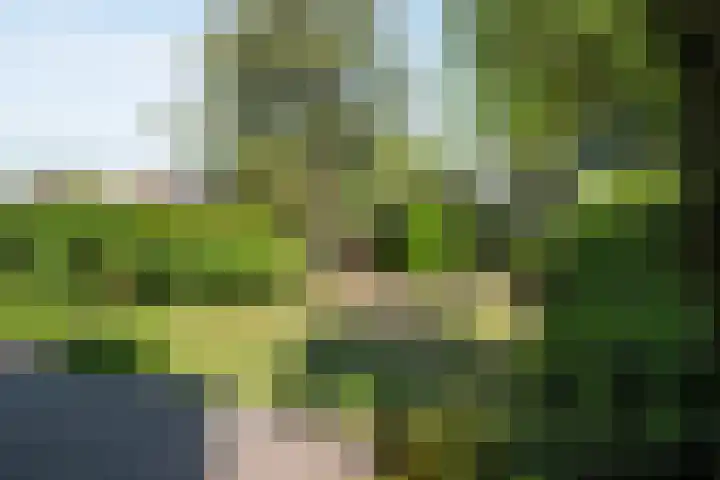 Wilhelminalaan 7 Vught thumbnail 42