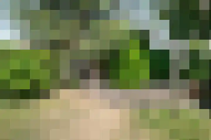 Wilhelminalaan 7 Vught thumbnail 44