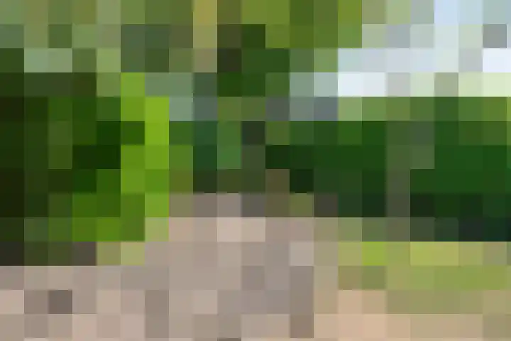 Wilhelminalaan 7 Vught thumbnail 45