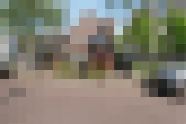 Wilhelminalaan 7 Vught thumbnail 51