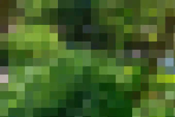 Wilhelminalaan 8 De Bilt thumbnail 10