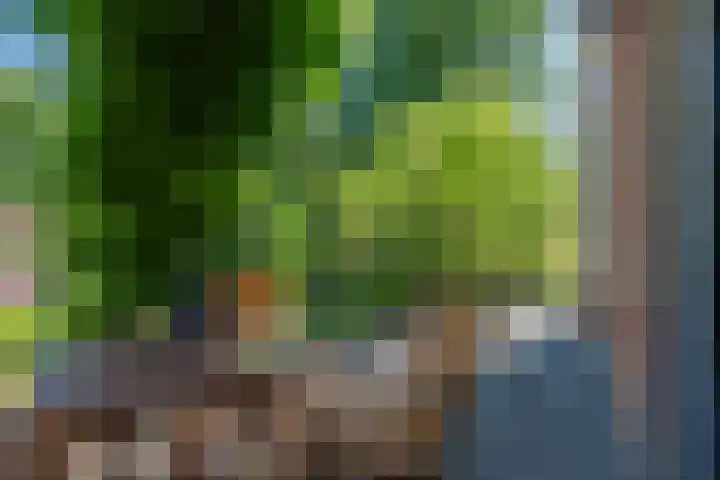 Wilhelminalaan 8 De Bilt thumbnail 15