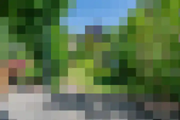 Wilhelminalaan 8 De Bilt thumbnail 16
