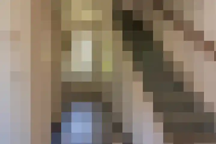 Wilhelminalaan 8 De Bilt thumbnail 31