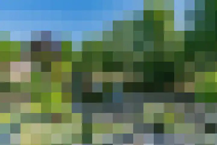 Wilhelminalaan 8 De Bilt thumbnail 33