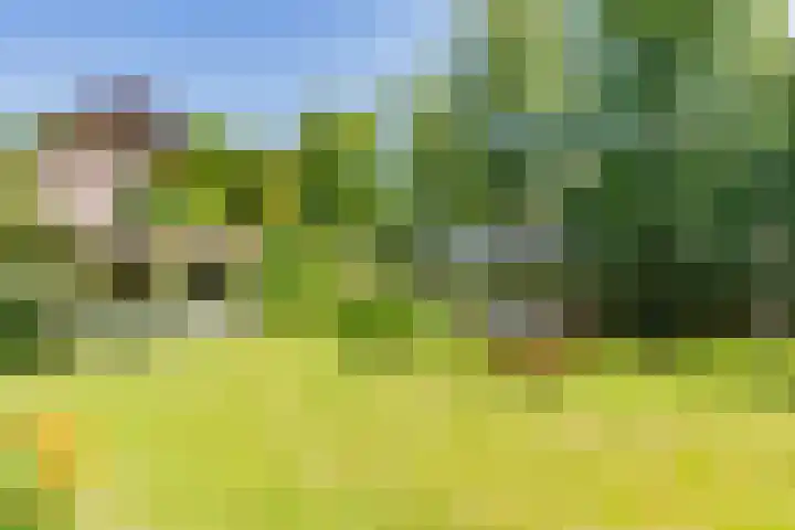 Wilhelminalaan 8 De Bilt thumbnail 41