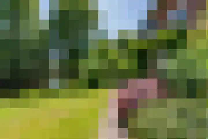 Wilhelminalaan 8 De Bilt thumbnail 42