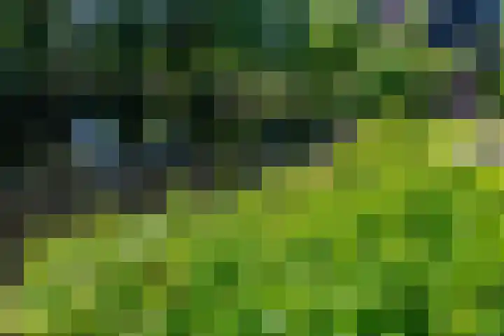 Wilhelminalaan 8 De Bilt thumbnail 43