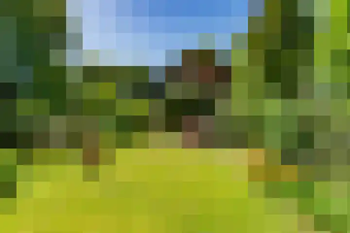Wilhelminalaan 8 De Bilt thumbnail 46