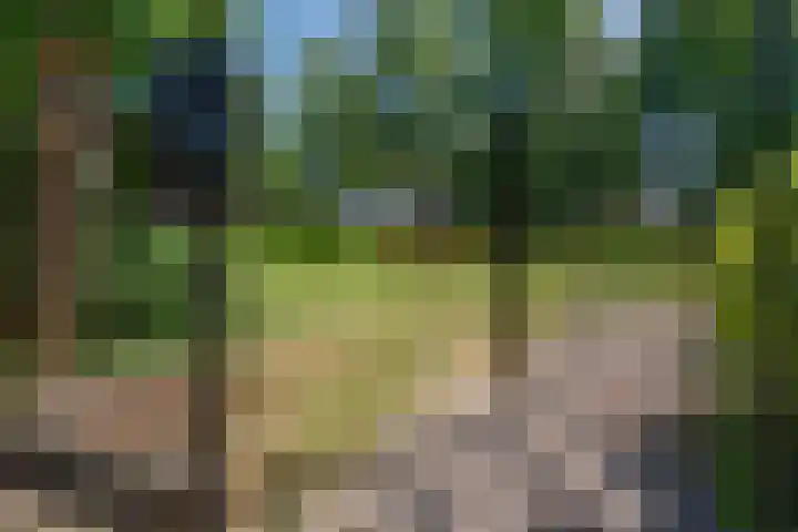 Wilhelminalaan 8 De Bilt thumbnail 6