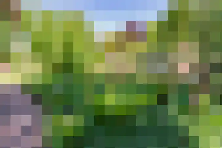 Wilhelminalaan 8 De Bilt thumbnail 9