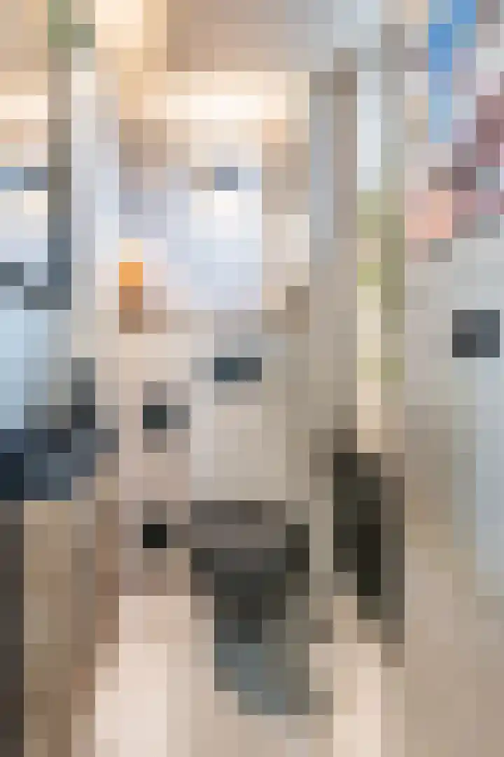 Wilhelminalaan 87 Echt thumbnail 5