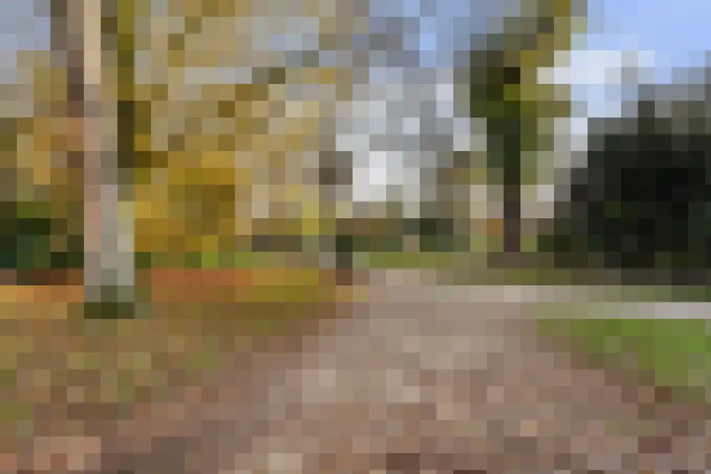 Wilhelminapark 139 e Tilburg thumbnail 32