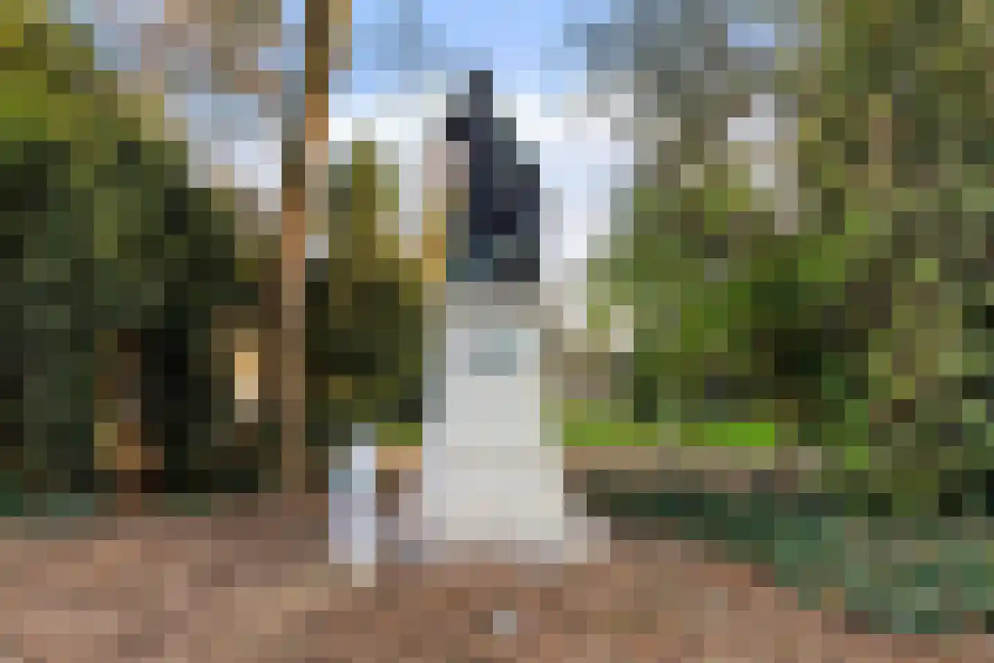 Wilhelminapark 139 e Tilburg thumbnail 35