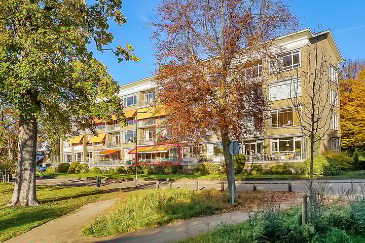Wilhelminaparkflat 17 in Zeist