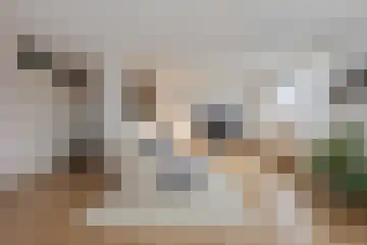 Wilhelminaplein 41 Tegelen thumbnail 5