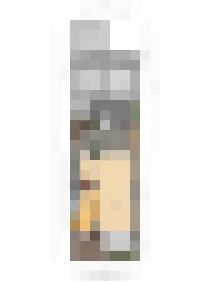 Wilhelminasingel 16 Pijnacker thumbnail 31
