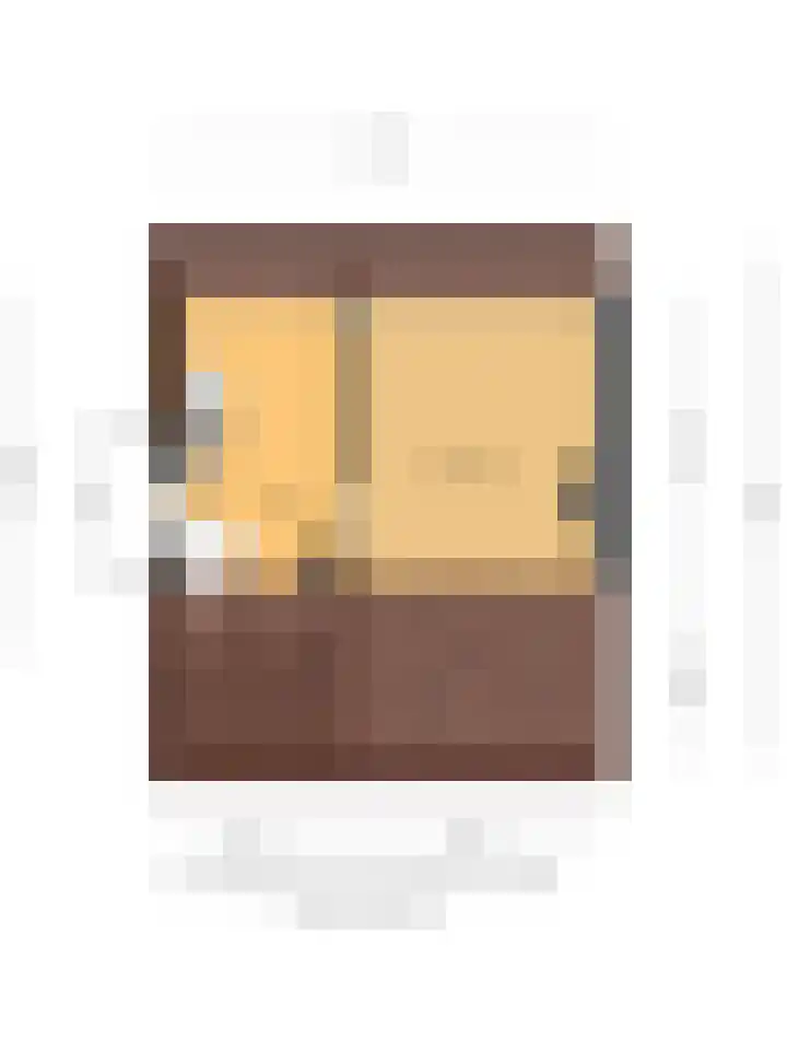 Wilhelminasingel 16 Pijnacker thumbnail 34