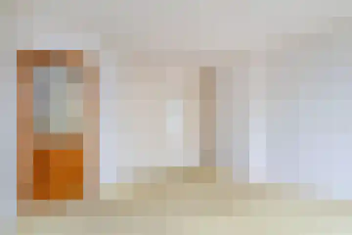 Wilhelminasingel 21 Pijnacker thumbnail 12