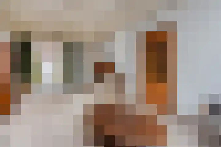 Wilhelminasingel 21 Pijnacker foto 2